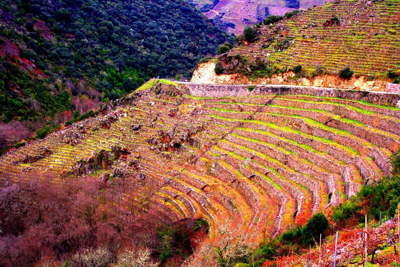 Castelodobispo - Ourense Sobrado del Obispo Dış mekan fotoğraf