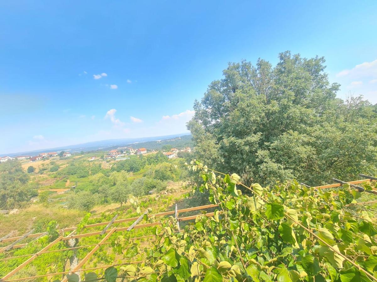 Castelodobispo - Ourense Sobrado del Obispo Dış mekan fotoğraf